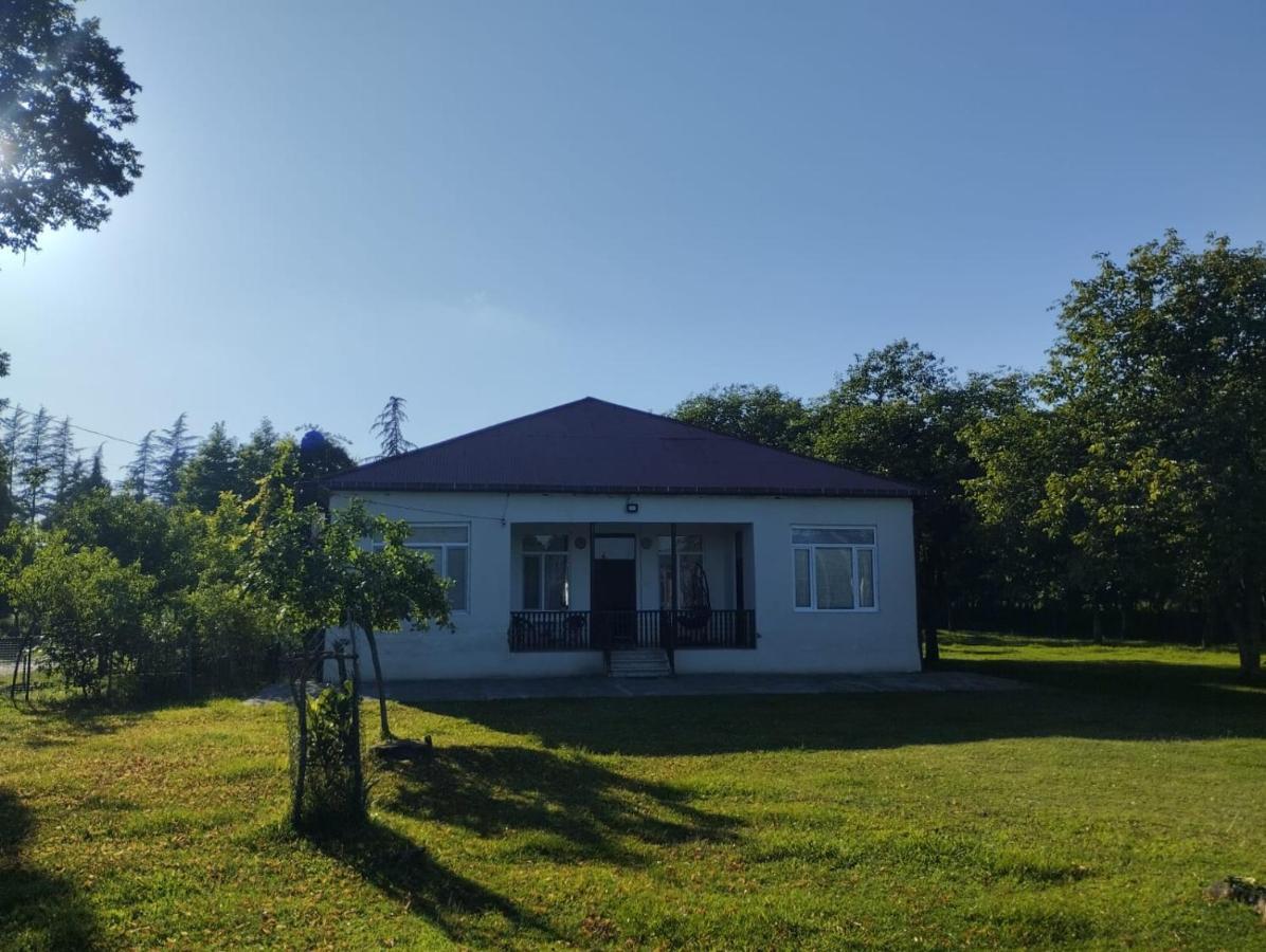 Martvili Guesthouse Extérieur photo