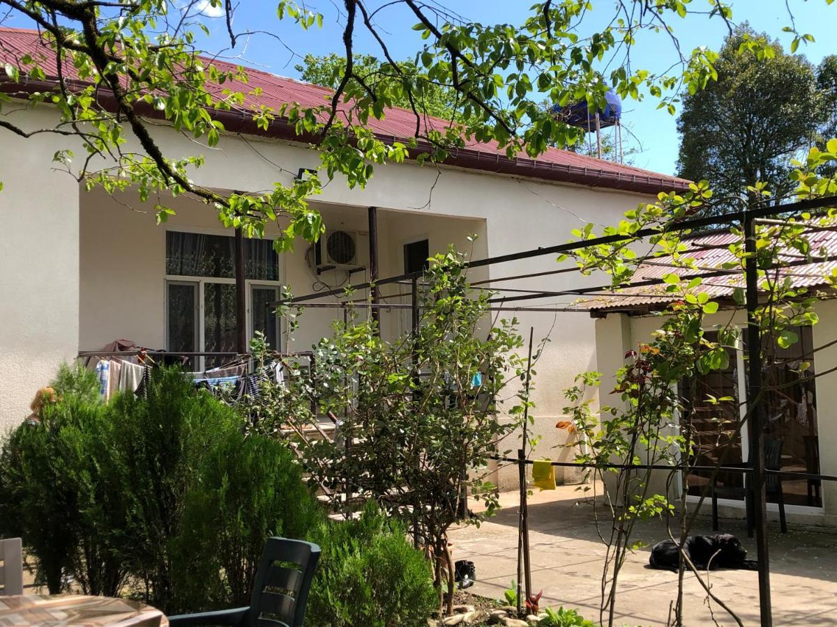 Martvili Guesthouse Extérieur photo